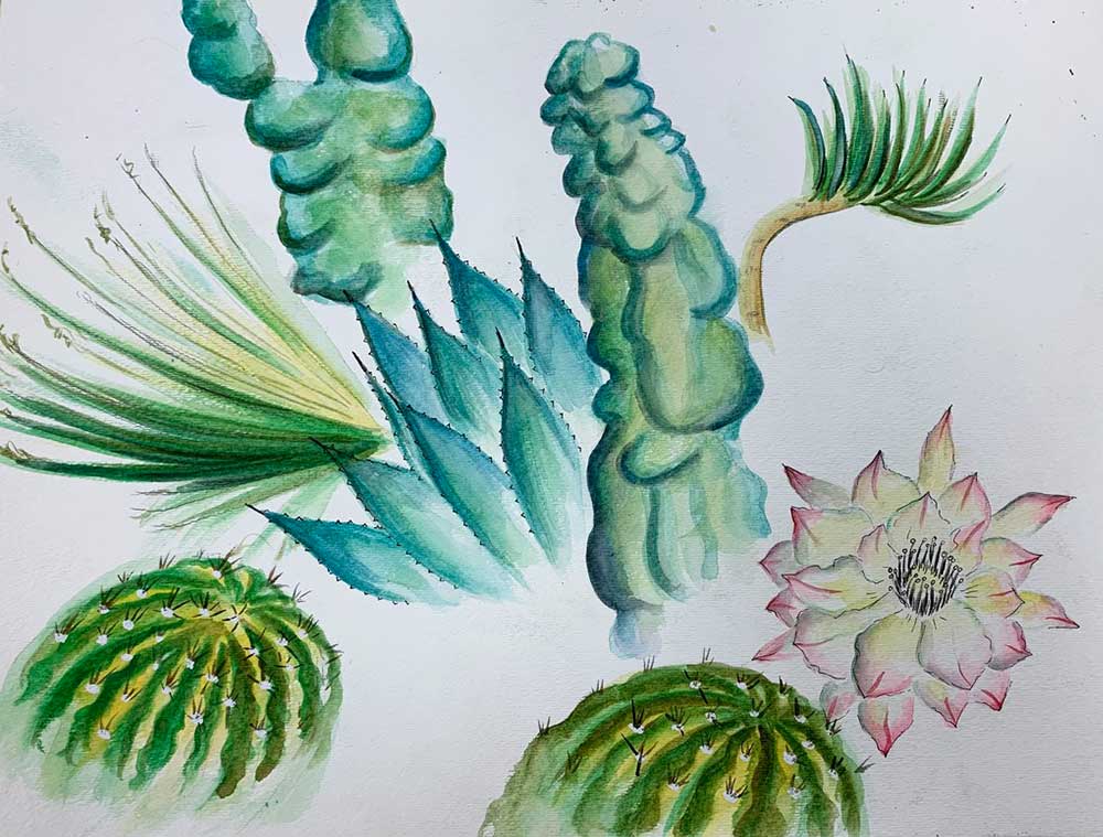 Her Succulent Garden, Watercolor on paper, 14”x 17”, 2020